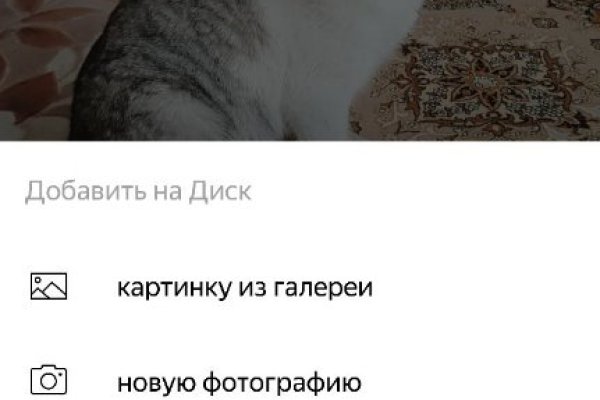 Почему не могу зайти на кракен