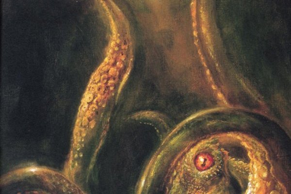 Kraken whitenet market зеркало