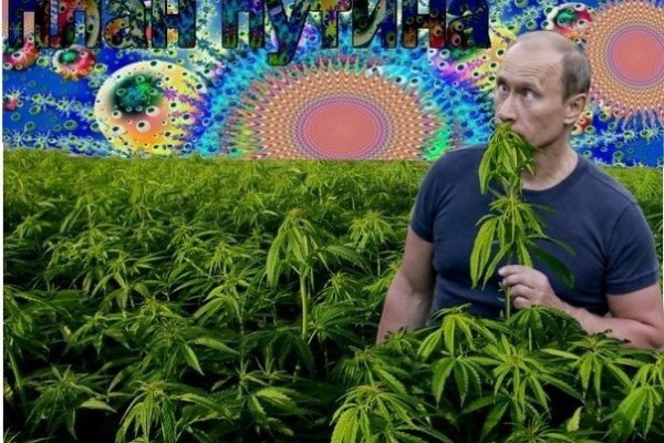 Кракен тор ссылка магазин