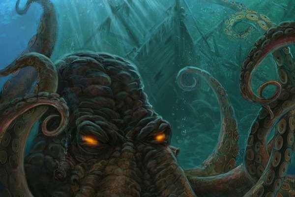 Kraken whitenet market