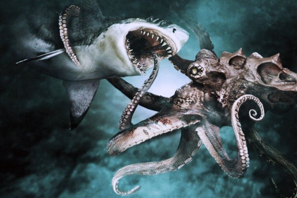 Kraken whitenet market