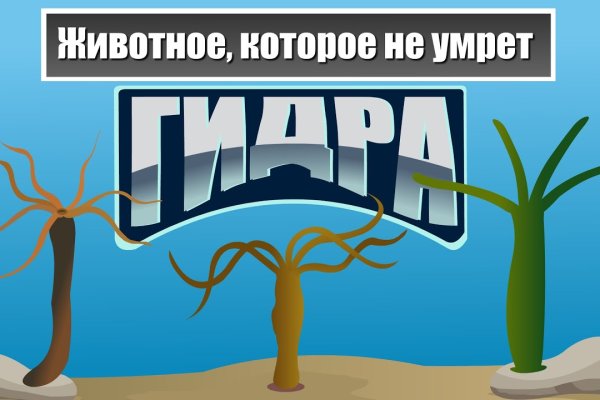Кракен супернет как зайти