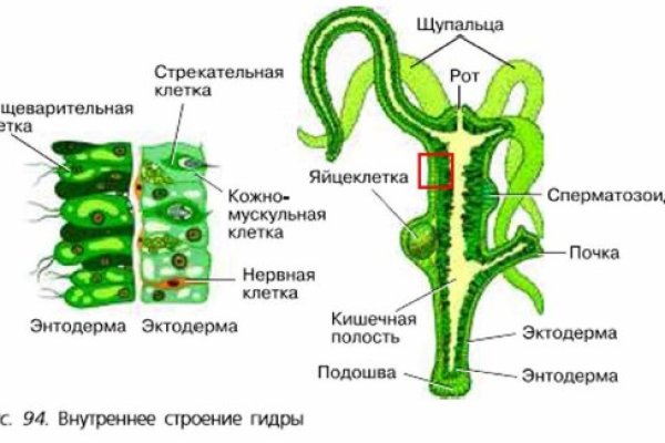 Сайт krn