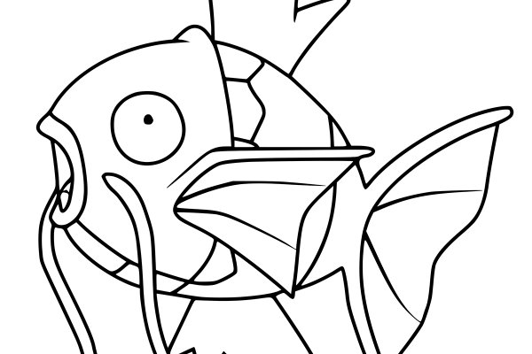 Kraken 24at