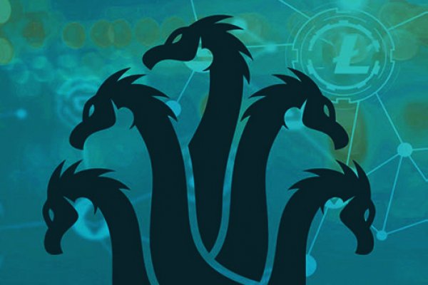 Kraken18 at