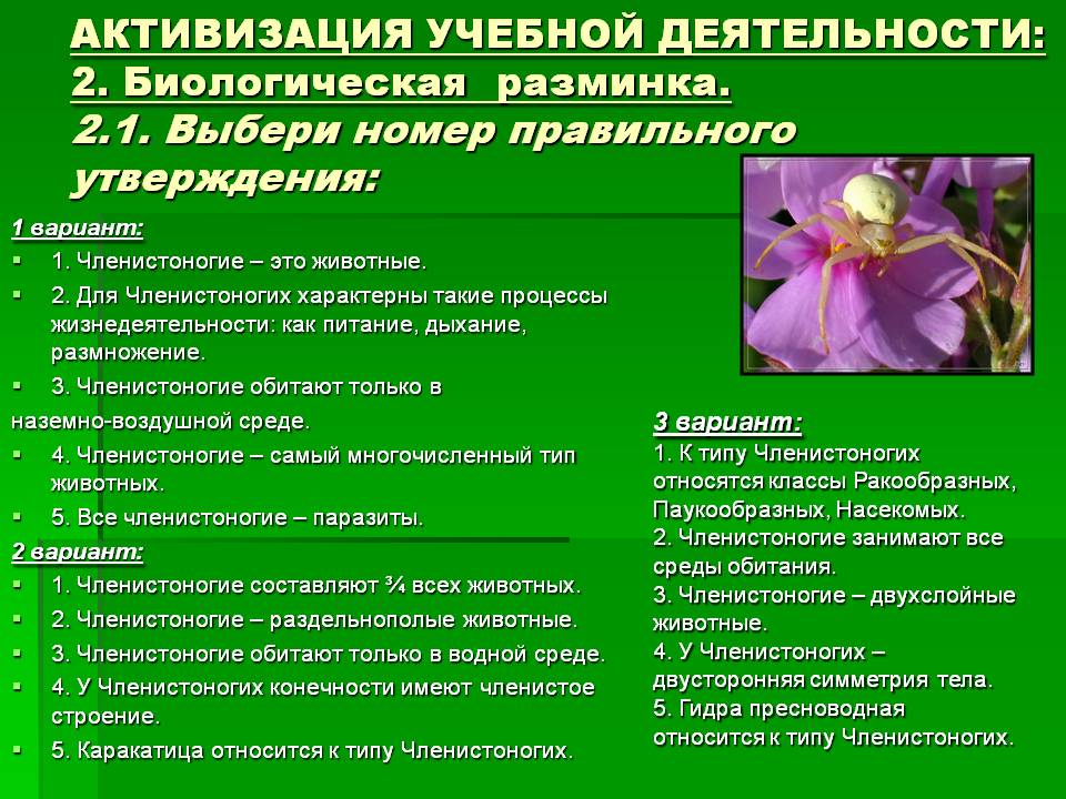 Кракен маркетплейс купить порошок